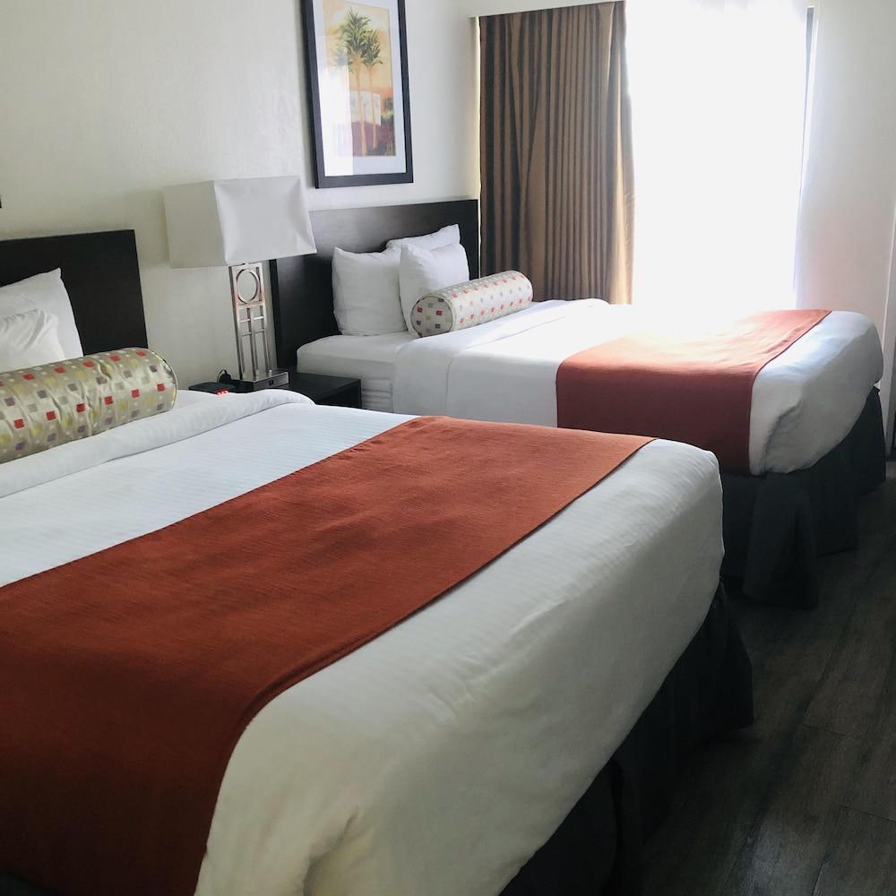 מלון Baymont By Wyndham Tampa Near Busch Gardens מראה חיצוני תמונה