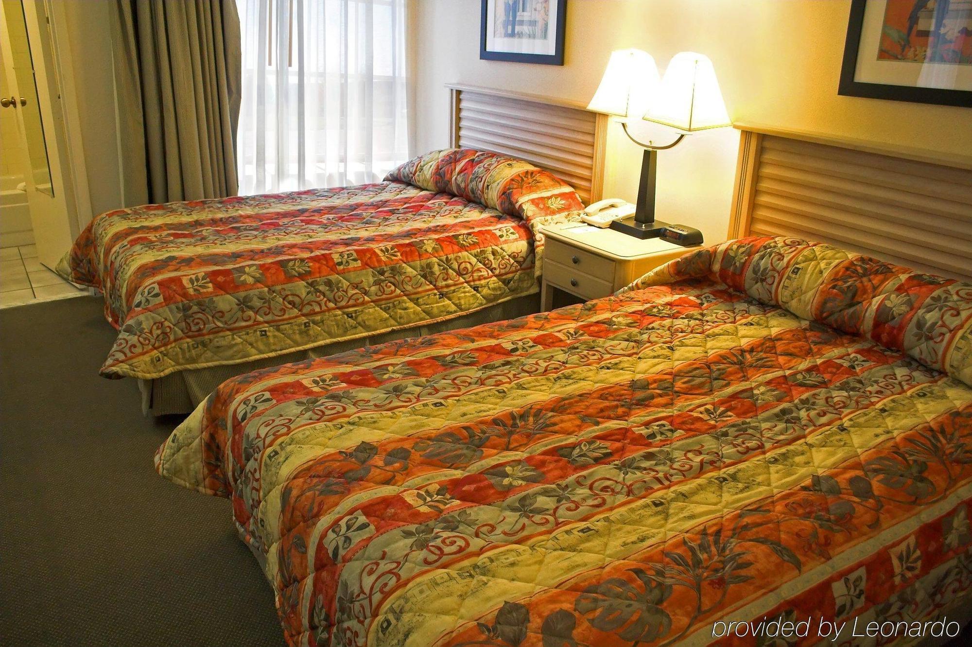 מלון Baymont By Wyndham Tampa Near Busch Gardens חדר תמונה