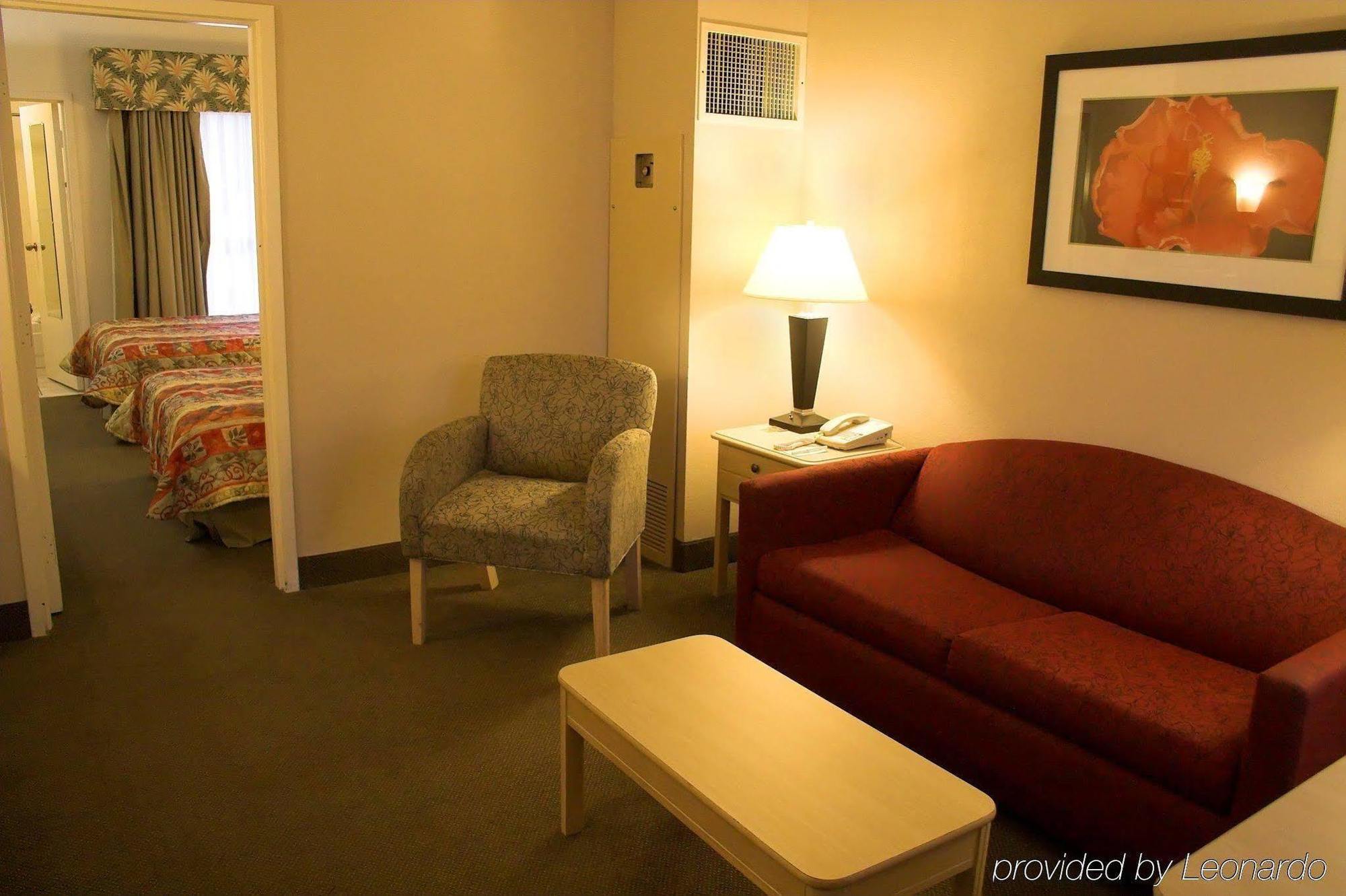 מלון Baymont By Wyndham Tampa Near Busch Gardens חדר תמונה