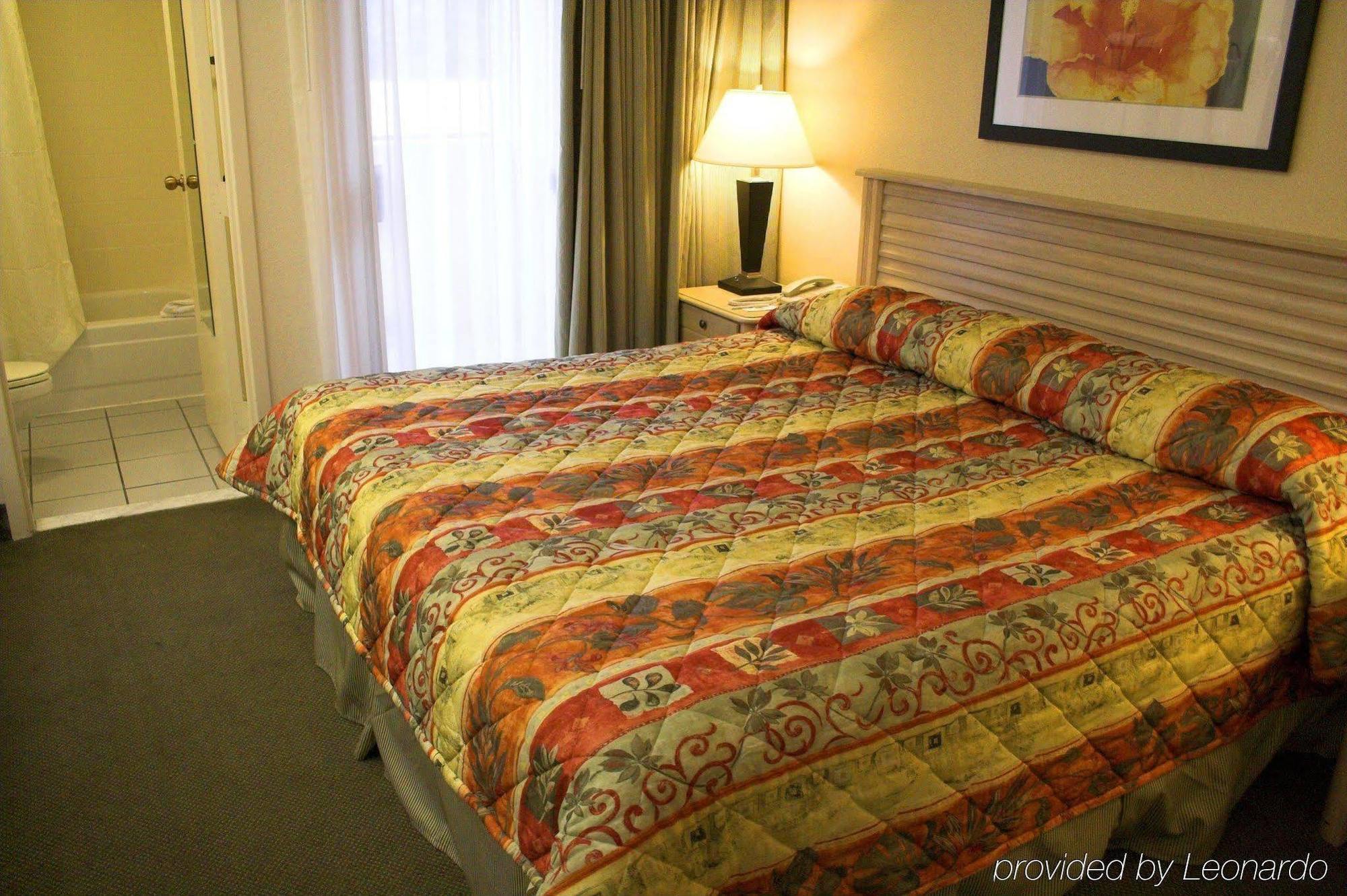 מלון Baymont By Wyndham Tampa Near Busch Gardens חדר תמונה